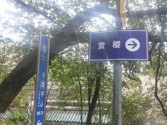 -武汉大学-樱园