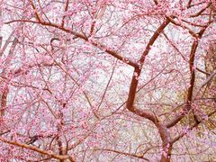 -安定门(地铁站)