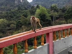 -广西龙虎山风景区