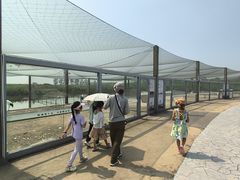 -盐城丹顶鹤湿地生态旅游区