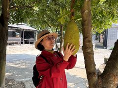 -开平碉楼文化旅游区马降龙景区