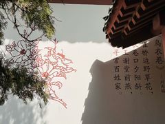 -龙口南山旅游景区