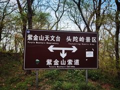 -紫金山山顶公园