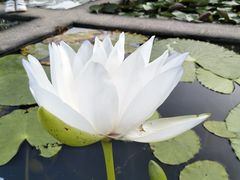 -华南国家植物园-售票处