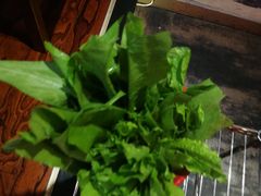 -陈阿婆重庆绿色鱼火锅