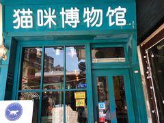 -猫咪博物馆(顶澳仔猫街店)