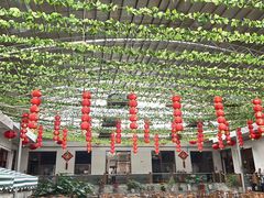 -燕北云山·农家菜·灶台鱼(密云溪翁庄店)