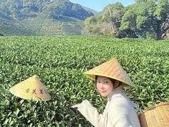 -香芙茗茶楼(梅家坞店)