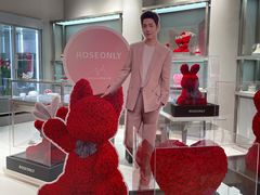 -ROSEONLY诺誓(广州K11店)