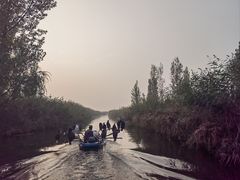 -白洋淀风景区