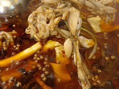 -鸿顺老铁锅美蛙鱼府(解放碑店)