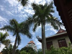 -厦门大学(思明校区)