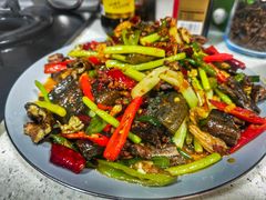 -天鹅到家·保姆月嫂育儿嫂(江渝店)