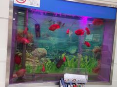 -雅悦齿科(顾村公园店)