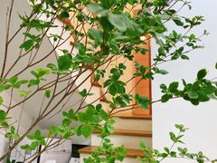 -森野花艺培训·企业团建活动沙龙