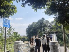 -铁山坪森林公园