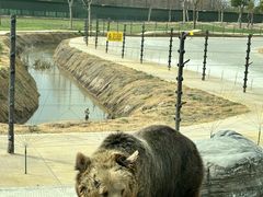 -上海野生动物园