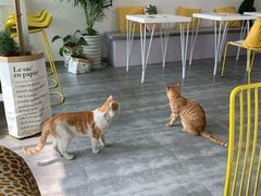 -五进制 Coffee Shop