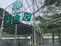 -丹樱生态园