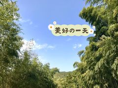 -苏州环秀晓筑养生度假村