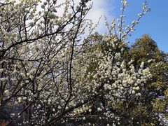 -南京市江宁方山