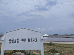 -莺歌海盐场