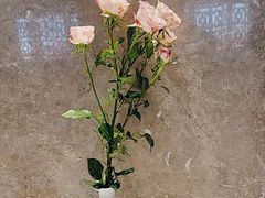 -香融府·烤鸭·家常菜(花乡奥莱店)