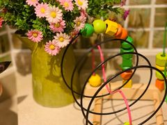 -金海湾自助餐厅(金陵饭店)