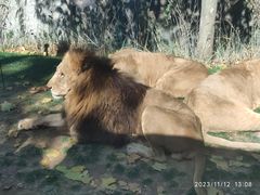 -北京野生动物园