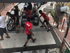 -圣淘沙天际线斜坡滑车