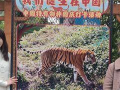 -成都动物园