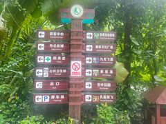 -西双版纳原始森林公园