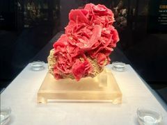 -湖南省地质博物馆