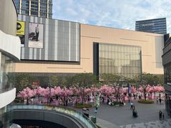 -东莞松山湖万象汇