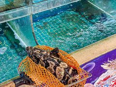 -坛南湾阿强农家乐.海鲜大排档老字号(福州地标美食店)