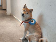 -三目仓咖啡(贤南路店)
