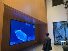 -现代汽车文化中心 Hyundai Motorstudio Beijing