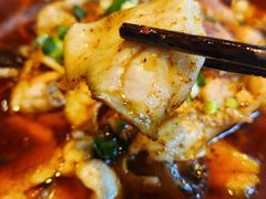 -向川南·水煮鱼·川菜(和平里店)