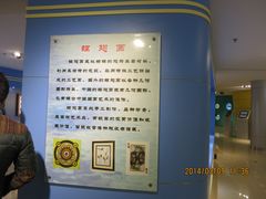 IMG_2889-上海昆虫博物馆