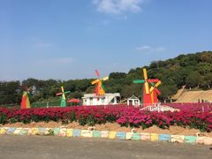 -松山湖梦幻百花洲