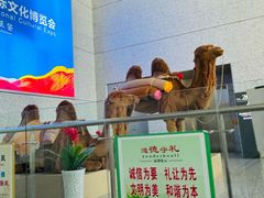 -敦煌莫高国际机场