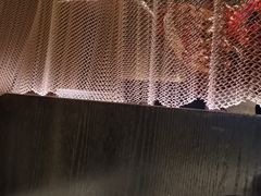 -奉天小馆·非遗东北菜(济南万象城店)