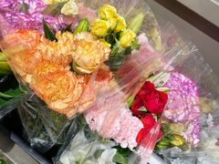-鹿岛生活(熙地港店)