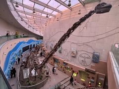 -陕西自然博物馆