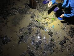 游乐设施-青岛第二海水浴场