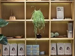 -左悦·艾灸调理·推拿按摩·精油SPA(卓悦汇店)