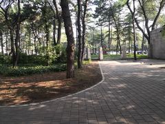 -长春市南湖公园