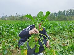 -汉长安城未央宫国家考古遗址公园