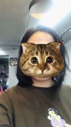 -茶发Salon·烫发染发理发