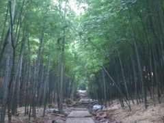 android_upload_pic-穹窿山景区